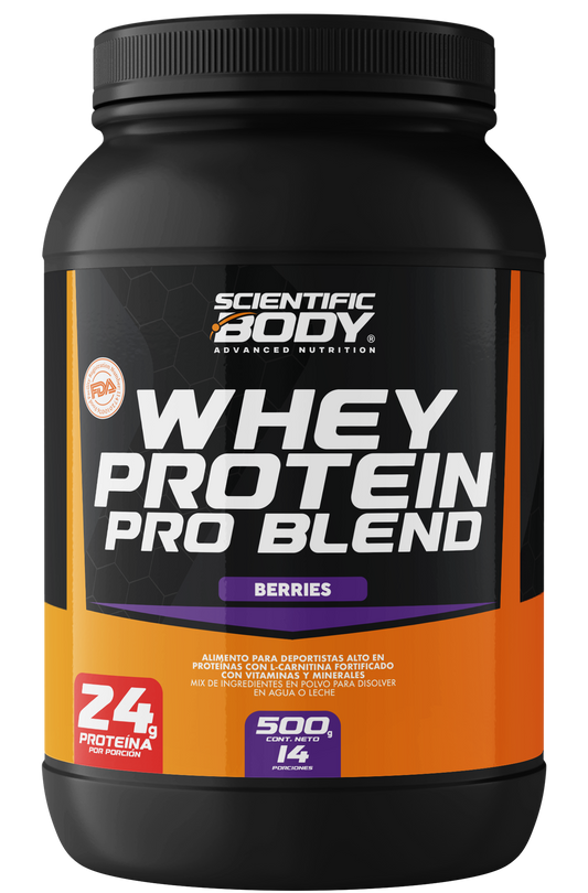 Whey Protein PRO BLEND 500g